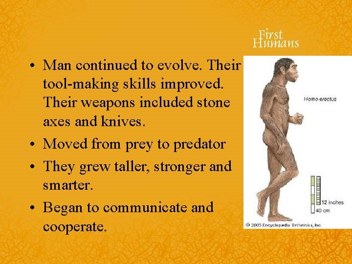  • Man continued to evolve. Their tool-making skills improved. Their weapons included stone