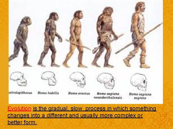 Evolution is the gradual, slow process in which something changes into a different and