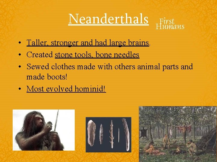Neanderthals • Taller, stronger and had large brains. • Created stone tools, bone needles