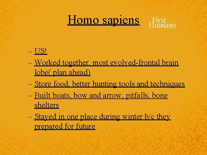 Homo sapiens – US! – Worked together, most evolved-frontal brain lobe( plan ahead) –