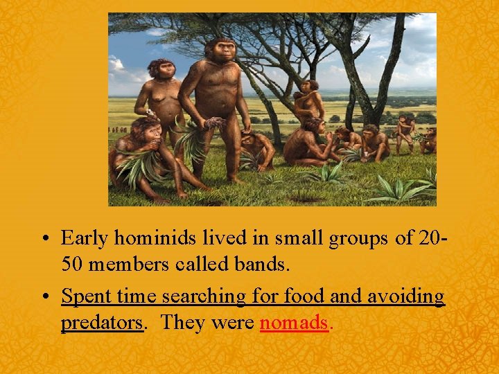  • Early hominids lived in small groups of 2050 members called bands. •