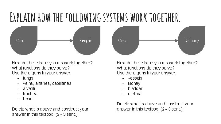 Explain how the following systems work together. Circ. Respir. How do these two systems