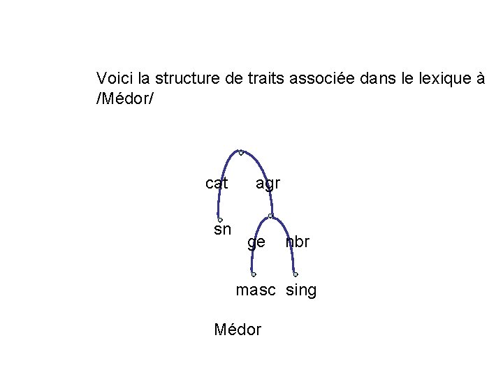  Voici la structure de traits associée dans le lexique à /Médor/ cat sn