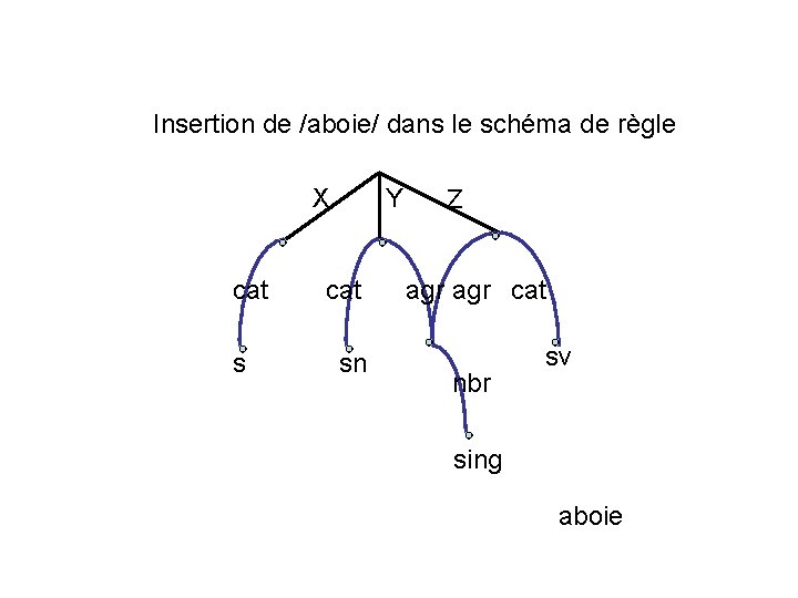  Insertion de /aboie/ dans le schéma de règle X cat s Y cat