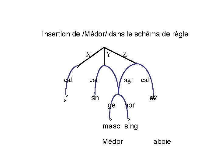  Insertion de /Médor/ dans le schéma de règle X Y cat s sn