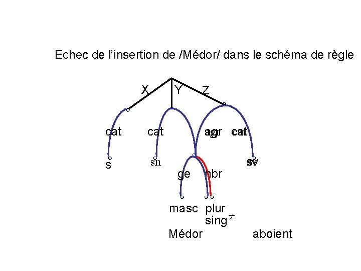  Echec de l’insertion de /Médor/ dans le schéma de règle X Y cat