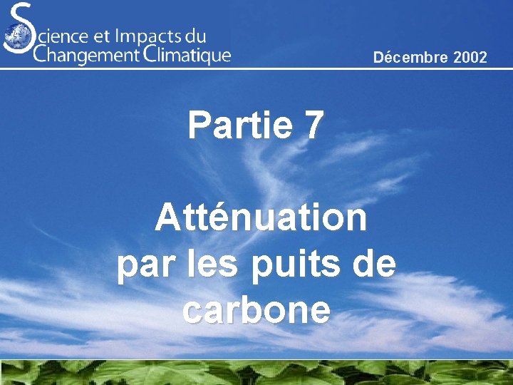 Décembre 2002 Partie 7 Atténuation par les puits de carbone 