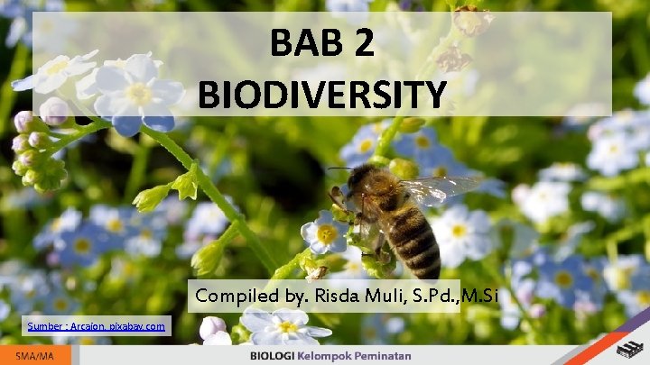 BAB 2 BIODIVERSITY Compiled by. Risda Muli, S. Pd. , M. Si Sumber :