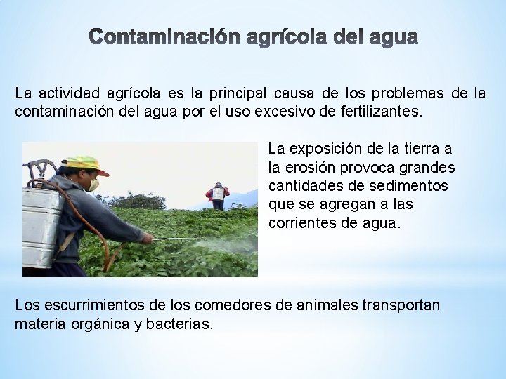 La actividad agrícola es la principal causa de los problemas de la contaminación del