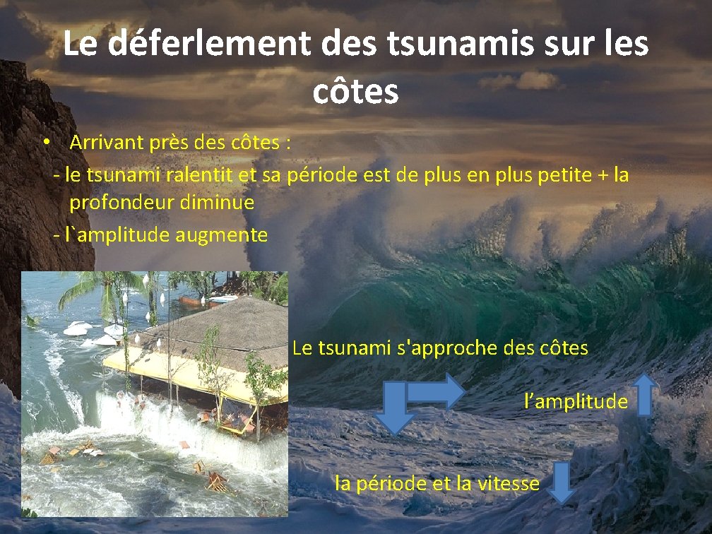 Le déferlement des tsunamis sur les côtes • Arrivant près des côtes : -