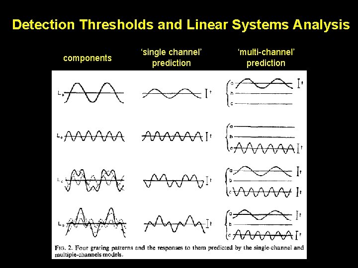 Detection Thresholds and Linear Systems Analysis components ‘single channel’ prediction ‘multi-channel’ prediction 