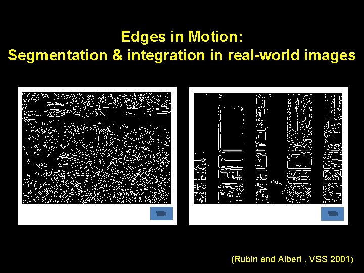Edges in Motion: Segmentation & integration in real-world images (Rubin and Albert , VSS