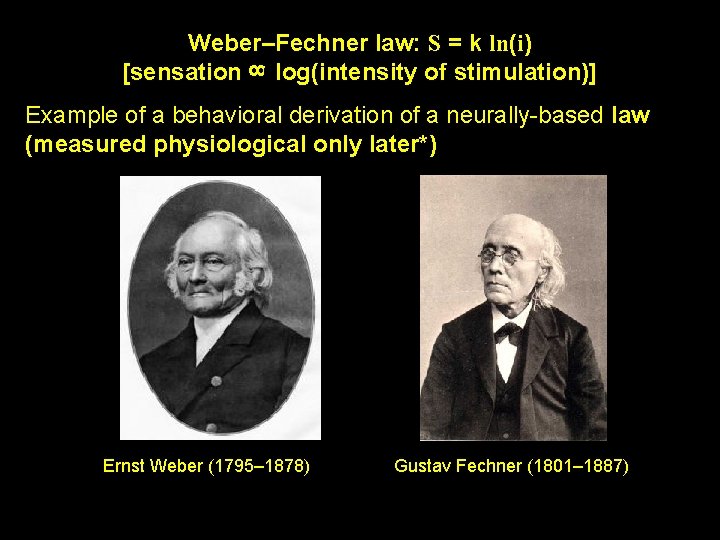 8 Weber–Fechner law: S = k ln(i) [sensation log(intensity of stimulation)] Example of a