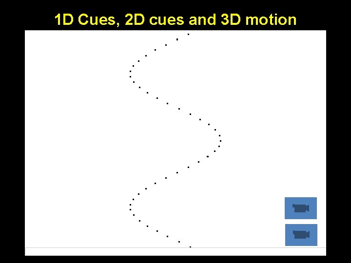 1 D Cues, 2 D cues and 3 D motion 