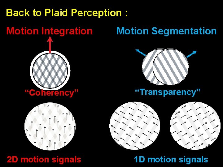 Back to Plaid Perception : Motion Integration Motion Segmentation “Coherency” “Transparency” 2 D motion