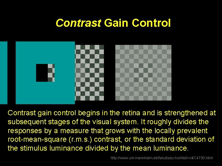 Contrast Gain Control Contrast gain control begins in the retina and is strengthened at
