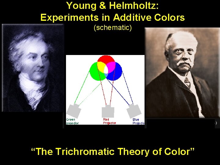 Young & Helmholtz: Experiments in Additive Colors (schematic) “The Trichromatic Theory of Color” 