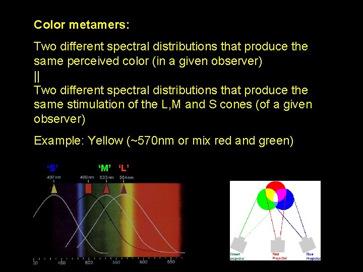 Color metamers: Two different spectral distributions that produce the same perceived color (in a