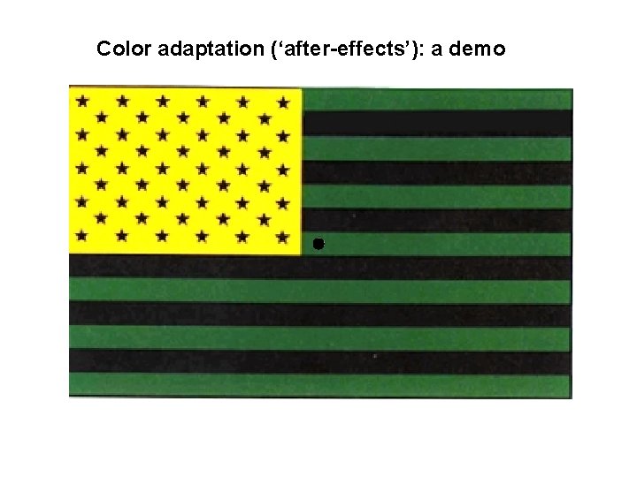 Color adaptation (‘after-effects’): a demo 