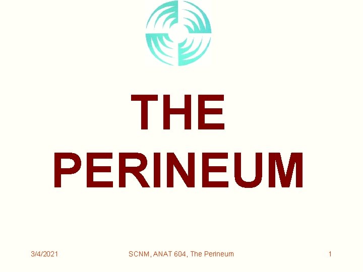 THE PERINEUM 3/4/2021 SCNM, ANAT 604, The Perineum 1 