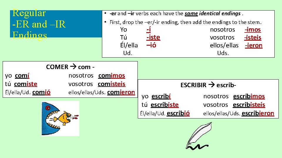 Regular -ER and –IR Endings • -er and –ir verbs each have the same Regular -ER and –IR Endings • -er and –ir verbs each have the same