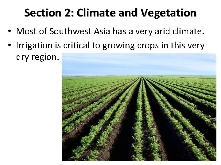 Section 2: Climate and Vegetation • Most of Southwest Asia has a very arid