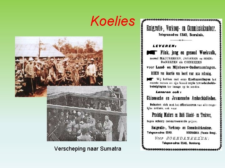 Koelies Verscheping naar Sumatra 