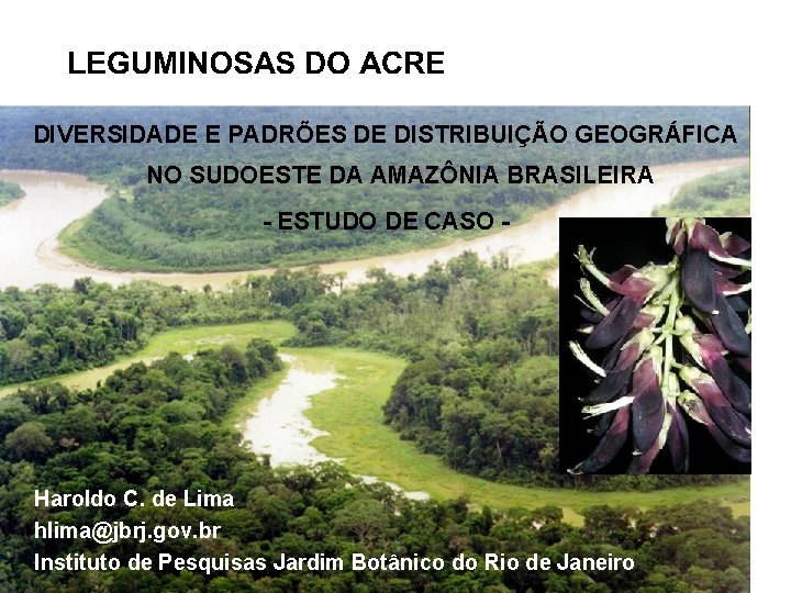 DIVERSIDADE E PADRÕES DE DISTRIBUIÇÃO GEOGRÁFICA NO SUDOESTE DA AMAZÔNIA BRASILEIRA - ESTUDO DE