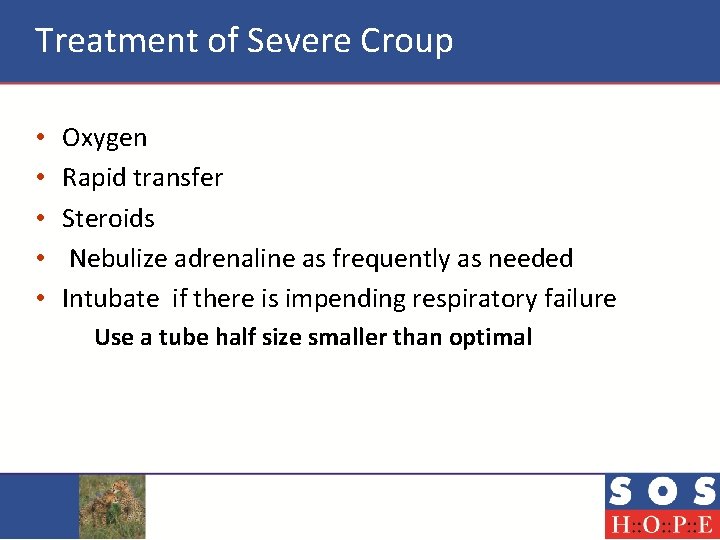 Treatment of Severe Croup • • • Oxygen Rapid transfer Steroids Nebulize adrenaline as