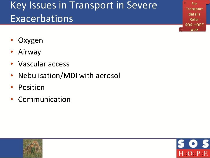 Key Issues in Transport in Severe Exacerbations • • • Oxygen Airway Vascular access