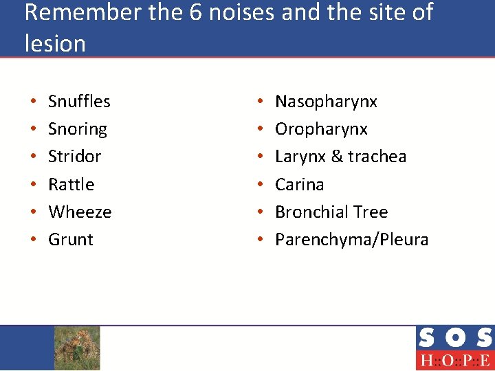 Remember the 6 noises and the site of lesion • • • Snuffles Snoring