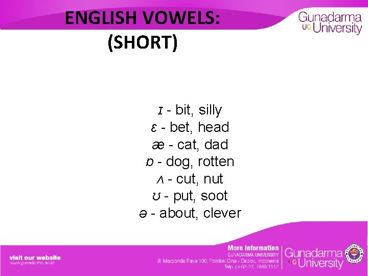 ENGLISH VOWELS: (SHORT) ɪ - bit, silly ɛ - bet, head æ - cat,