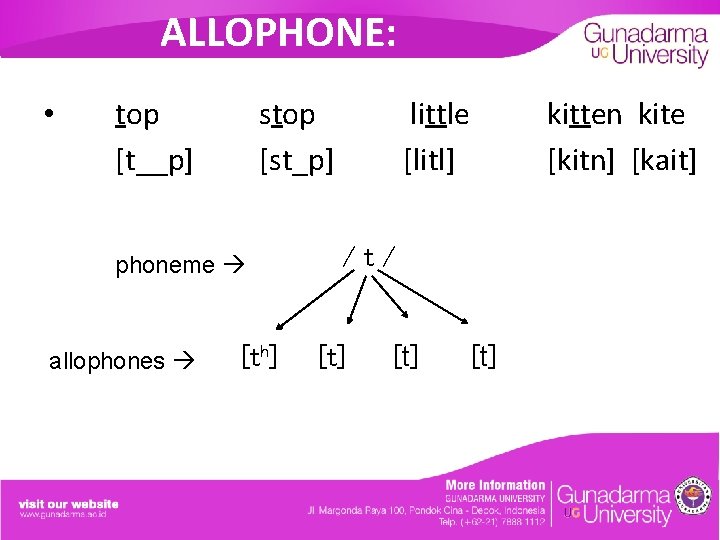 ALLOPHONE: • top [t__p] stop [st_p] phoneme allophones little [litl] kitten kite [kitn] [kait]