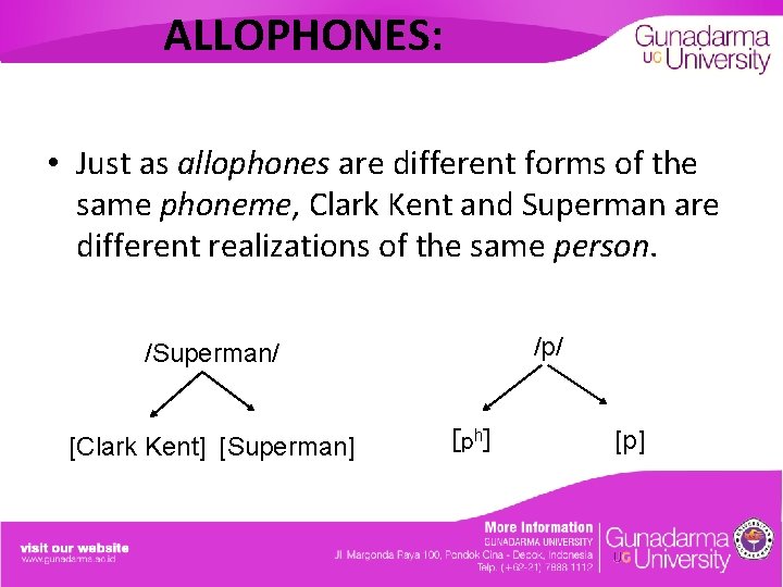 ALLOPHONES: • Just as allophones are different forms of the same phoneme, Clark Kent