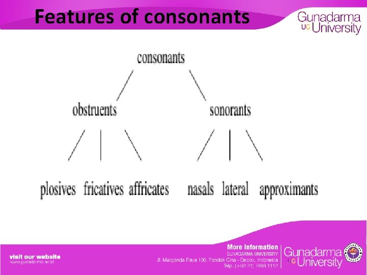 Features of consonants 