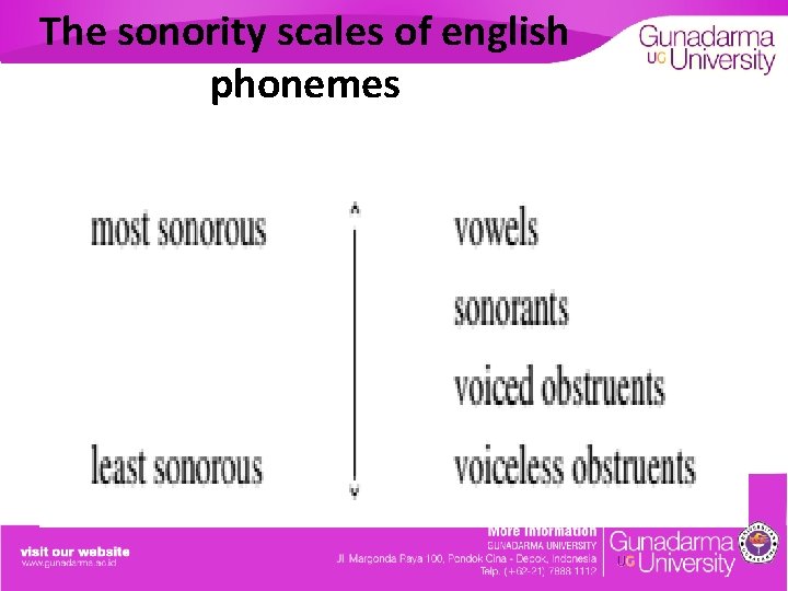 The sonority scales of english phonemes 