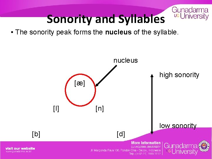 Sonority and Syllables • The sonority peak forms the nucleus of the syllable. nucleus