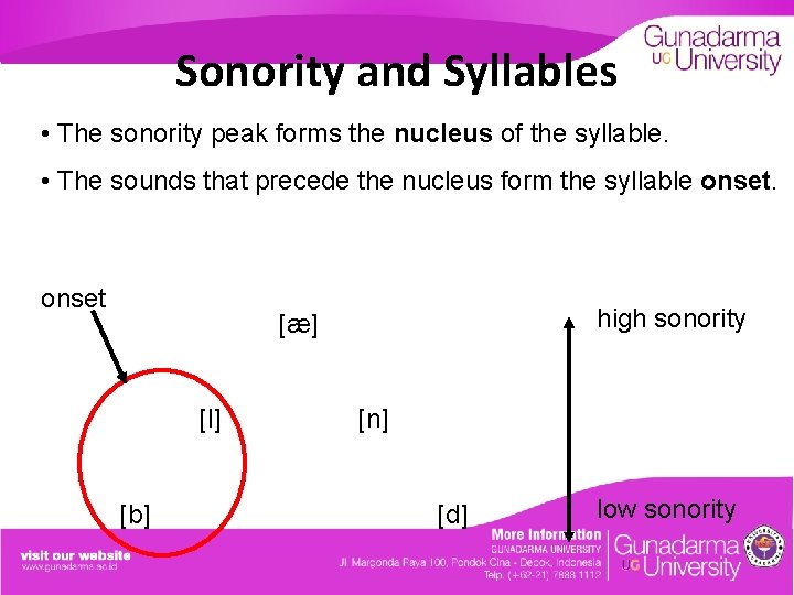 Sonority and Syllables • The sonority peak forms the nucleus of the syllable. •