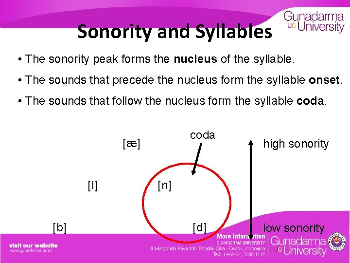 Sonority and Syllables • The sonority peak forms the nucleus of the syllable. •