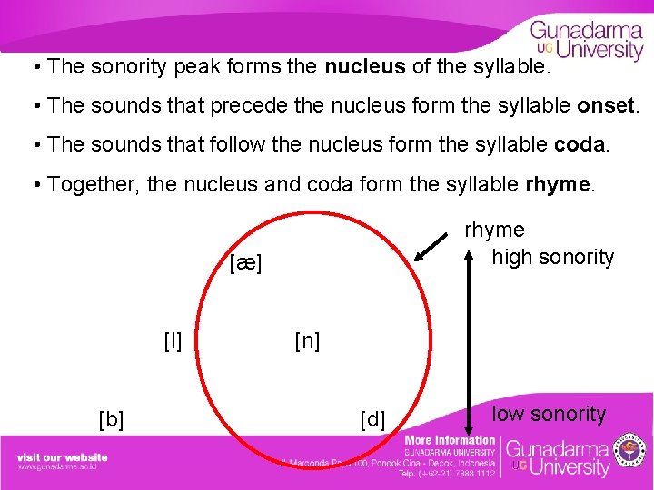  • The sonority peak forms the nucleus of the syllable. • The sounds