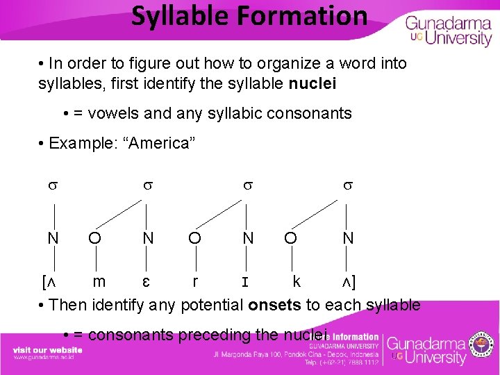 Syllable Formation • In order to figure out how to organize a word into