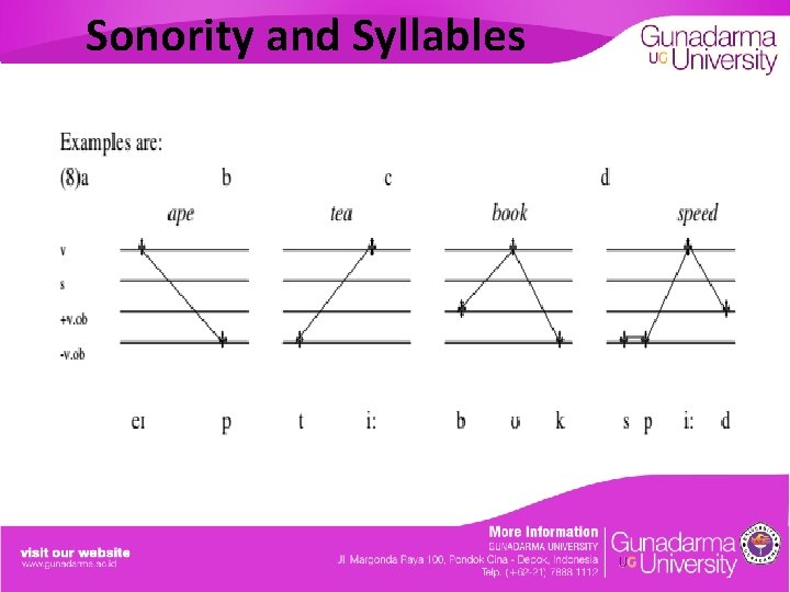 Sonority and Syllables 
