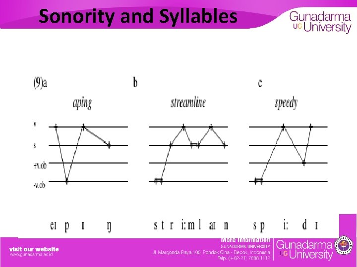 Sonority and Syllables 