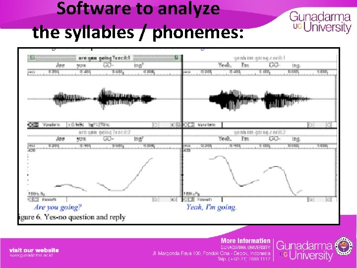 Software to analyze the syllables / phonemes: 