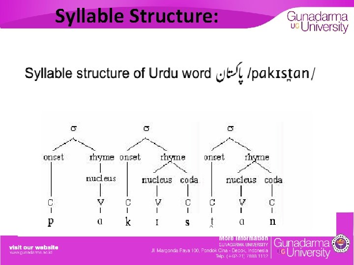 Syllable Structure: 