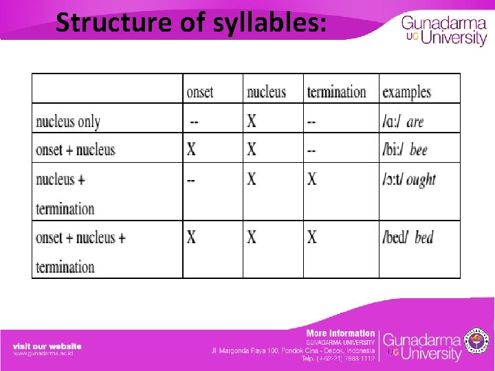 Structure of syllables: 