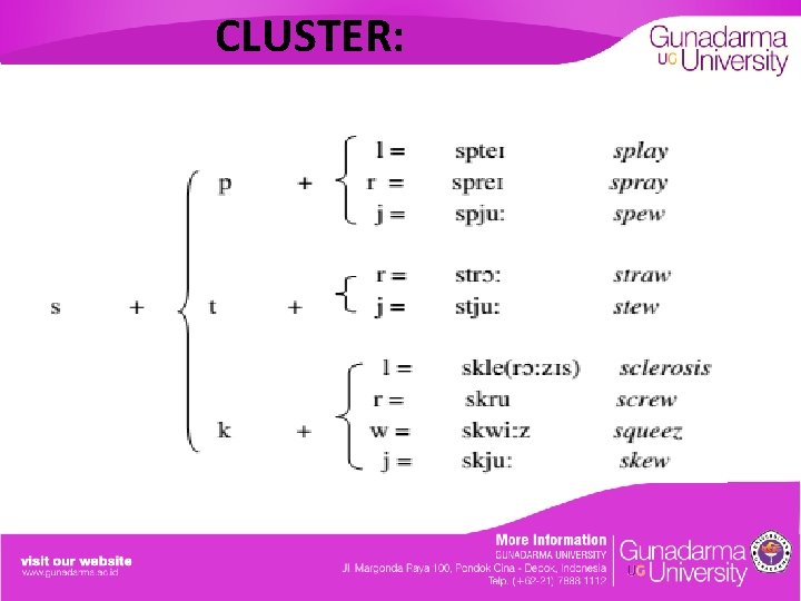 CLUSTER: 