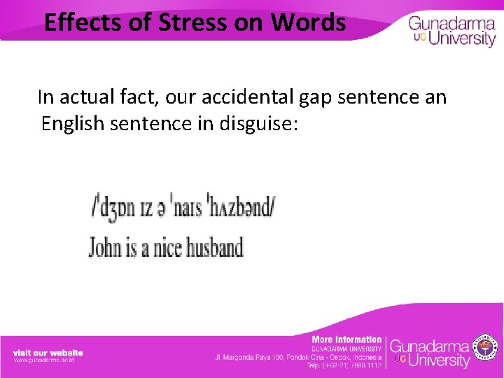 Effects of Stress on Words In actual fact, our accidental gap sentence an English