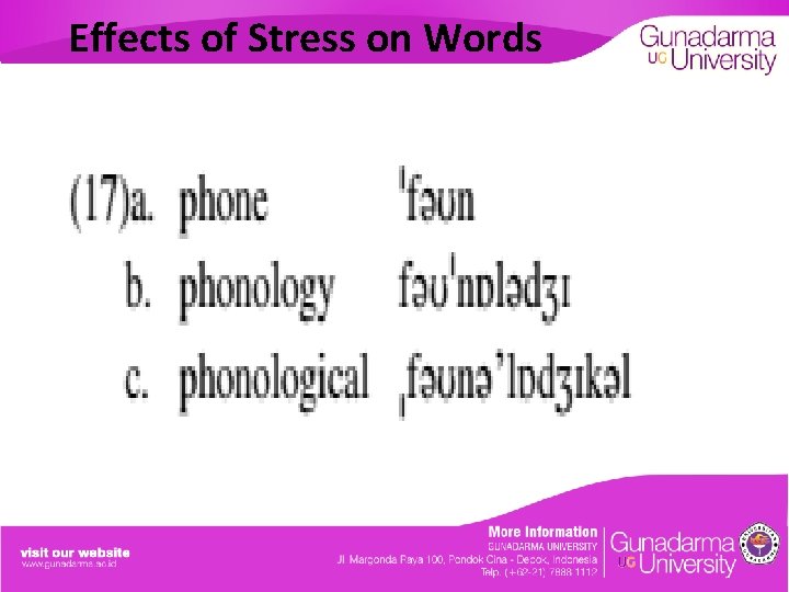 Effects of Stress on Words 