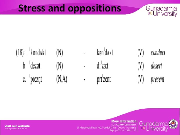 Stress and oppositions 